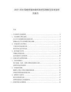 2025-2030蜀蟯癆翅海蟯檳趿癆錠鈿蛺發(fā)展規(guī)劃研究報告