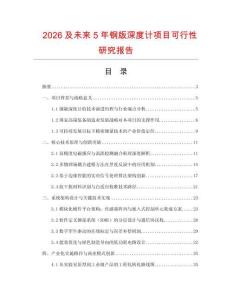 2026及未來5年鋼版深度計項目可行性研究報告