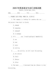 2025年英語語法與詞匯訓(xùn)練試題