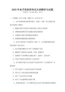 2025年電子商務師考試大綱解析與試題