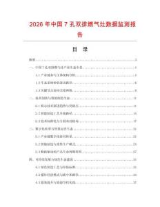 2026年中國7孔雙排燃?xì)庠顢?shù)據(jù)監(jiān)測報告