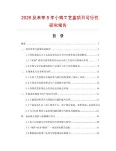 2026及未來5年小雞工藝盒項目可行性研究報告