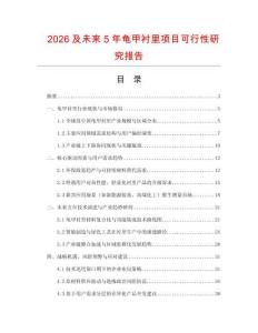 2026及未來5年龜甲襯里項目可行性研究報告