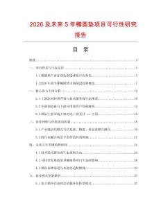 2026及未來5年橢圓墊項目可行性研究報告