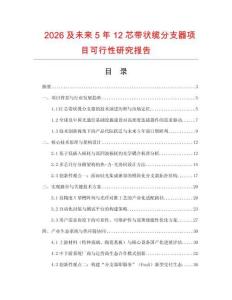 2026及未來5年12芯帶狀纜分支器項目可行性研究報告