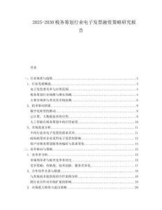 2025-2030稅務(wù)籌劃行業(yè)電子發(fā)票融資策略研究報(bào)告