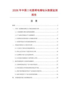 2026年中國二坑圓柄電錘鉆頭數(shù)據(jù)監(jiān)測報(bào)告