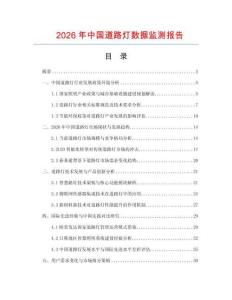 2026年中國(guó)道路燈數(shù)據(jù)監(jiān)測(cè)報(bào)告