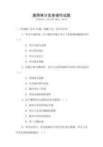 通用審計實務(wù)操作試題