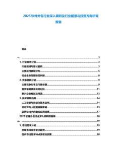 2025軟件外包行業(yè)深入調(diào)研及行業(yè)前景與投資方向研究報告