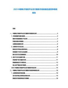 2025中國(guó)電子商務(wù)平臺(tái)支付服務(wù)市場(chǎng)發(fā)展迅速競(jìng)爭(zhēng)格局報(bào)告