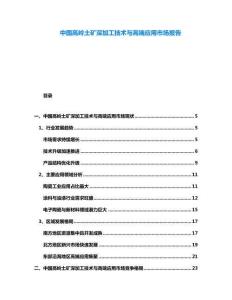 中國高嶺土礦深加工技術(shù)與高端應(yīng)用市場報告