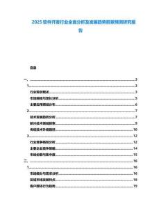 2025軟件開發(fā)行業(yè)全面分析及發(fā)展趨勢前景預(yù)測研究報告