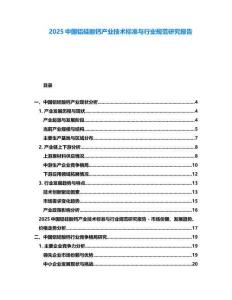 2025中國鋁硅酸鈣產業(yè)技術標準與行業(yè)規(guī)范研究報告