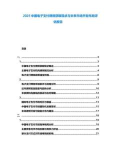 2025中國(guó)電子支付牌照獲取現(xiàn)狀與未來市場(chǎng)開放布局評(píng)估報(bào)告