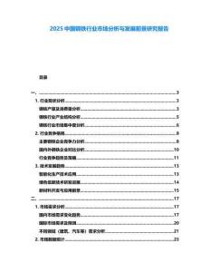 2025中國(guó)鋼鐵行業(yè)市場(chǎng)分析與發(fā)展前景研究報(bào)告