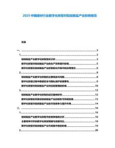 2025中國建材行業(yè)數(shù)字化轉(zhuǎn)型對鋁硅酸鹽產(chǎn)業(yè)影響報告