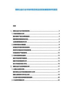 鋼鐵冶金行業(yè)市場(chǎng)供需態(tài)勢(shì)及投資發(fā)展前景研究報(bào)告