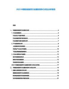 2025中國鋁硅酸鈣行業(yè)國際競爭力對比分析報告