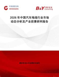 2026年中國汽車地線行業(yè)市場動態(tài)分析及產(chǎn)業(yè)前景研判報告