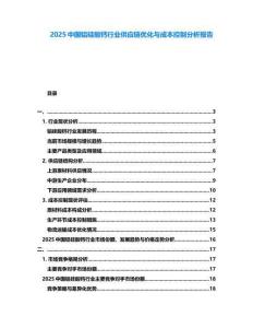 2025中國鋁硅酸鈣行業(yè)供應鏈優(yōu)化與成本控制分析報告