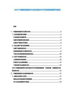 2025中國鋁硅酸鈣行業(yè)環(huán)保技術與可持續(xù)發(fā)展研究報告