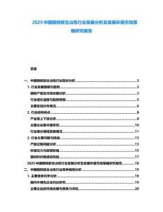 2025中國(guó)鋼鐵聯(lián)合冶煉行業(yè)發(fā)展分析及發(fā)展環(huán)境市場(chǎng)策略研究報(bào)告