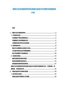 鋼鐵行業(yè)市場(chǎng)趨勢(shì)研判及電磁冶金技術(shù)與創(chuàng)新與發(fā)展投資計(jì)劃
