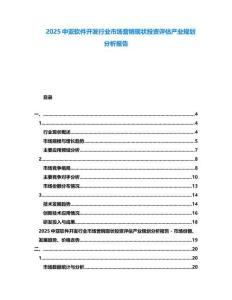 2025中亞軟件開發(fā)行業(yè)市場營銷現(xiàn)狀投資評估產(chǎn)業(yè)規(guī)劃分析報告