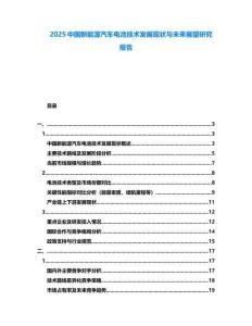 2025中國新能源汽車電池技術(shù)發(fā)展現(xiàn)狀與未來展望研究報(bào)告