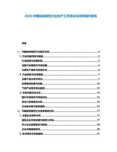 2025中國鋁硅酸鈣行業(yè)生產(chǎn)工藝優(yōu)化與效率提升報(bào)告