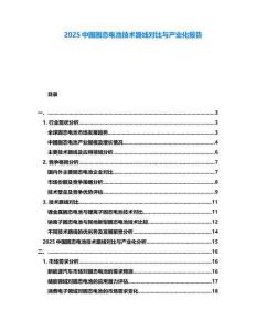 2025中國固態(tài)電池技術(shù)路線對比與產(chǎn)業(yè)化報(bào)告