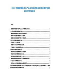 2025中國眼鏡鏡片生產企業(yè)市場供需分析及投資評估規(guī)劃分析研究報告
