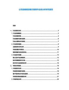 公司戰(zhàn)略規(guī)劃略方案操作業(yè)務(wù)分析研究報(bào)告