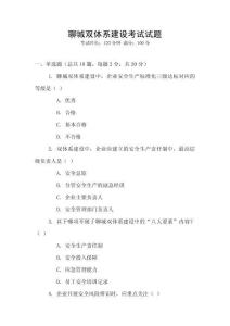聊城雙體系建設考試試題