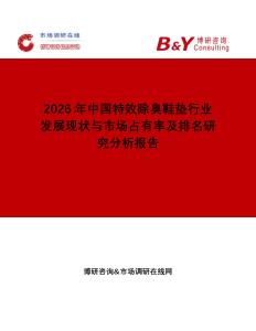 2026年中国特效除臭鞋垫行业发展现状与市场占有率及排名研究分析报告