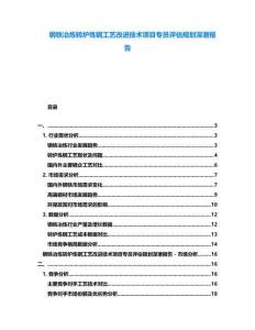 鋼鐵冶煉轉(zhuǎn)爐煉鋼工藝改進技術(shù)項目專員評估規(guī)劃深潛報告