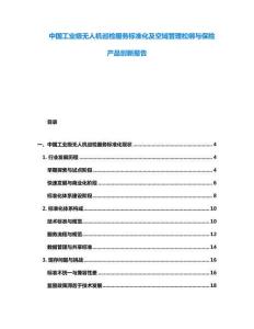 中國工業級無人機巡檢服務標準化及空域管理松綁與保險產品創新報告