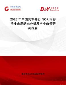 2026年中國汽車并行NOR閃存行業(yè)市場動態(tài)分析及產(chǎn)業(yè)前景研判報告