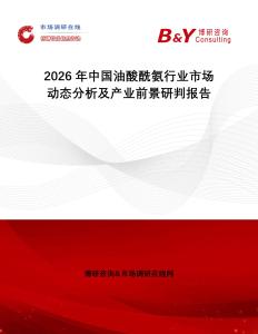 2026年中國油酸酰氨行業(yè)市場動態(tài)分析及產業(yè)前景研判報告