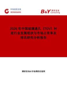 2026年中國玻璃通孔（TGV）襯底行業(yè)發(fā)展現(xiàn)狀與市場占有率及排名研究分析報告