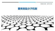 薯類耐鹽分子機制