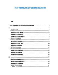 2025中國鋼鐵冶煉業(yè)產業(yè)鏈前瞻長線分析材料