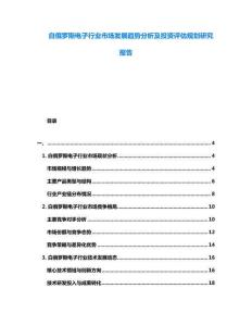 白俄羅斯電子行業市場發展趨勢分析及投資評估規劃研究報告