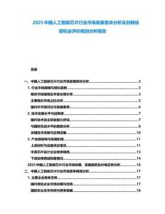 2025中國人工智能芯片行業(yè)市場發(fā)展需求分析及創(chuàng)新投資機會評價規(guī)劃分析報告
