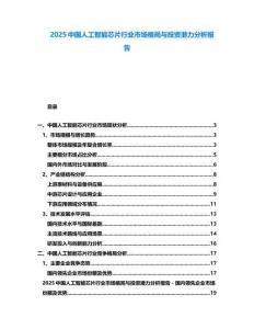 2025中國人工智能芯片行業(yè)市場格局與投資潛力分析報告