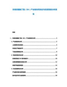 東南亞醋酸丁酯（BA）產(chǎn)業(yè)鏈協(xié)同效應(yīng)與投資回報(bào)分析報(bào)告