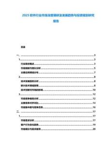 2025軟件行業(yè)市場深度調(diào)研及發(fā)展趨勢與投資規(guī)劃研究報告