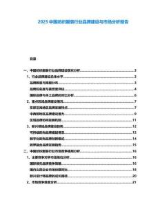 2025中國紡織服裝行業(yè)品牌建設(shè)與市場分析報告