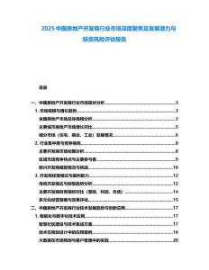 2025中國房地產(chǎn)開發(fā)商行業(yè)市場深度聚焦及發(fā)展?jié)摿εc投資風(fēng)險(xiǎn)評(píng)估報(bào)告